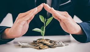 Investment Growth